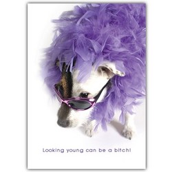 Dog Birthday Cards