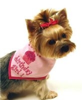 Dog Birthday Bandanas