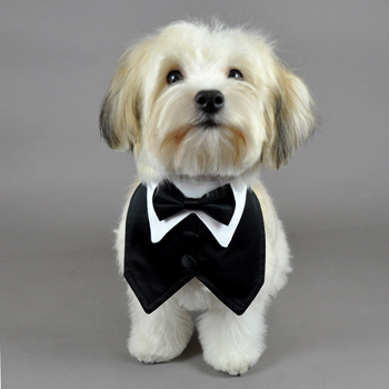 Dog Tuxedo Vest and Bowtie