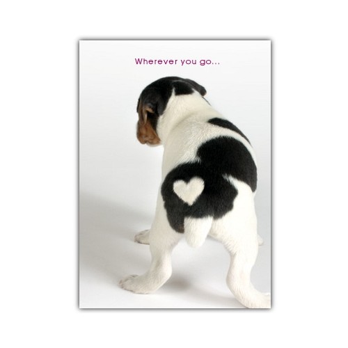 Greeting Cards