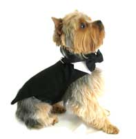 Dog Tuxedo