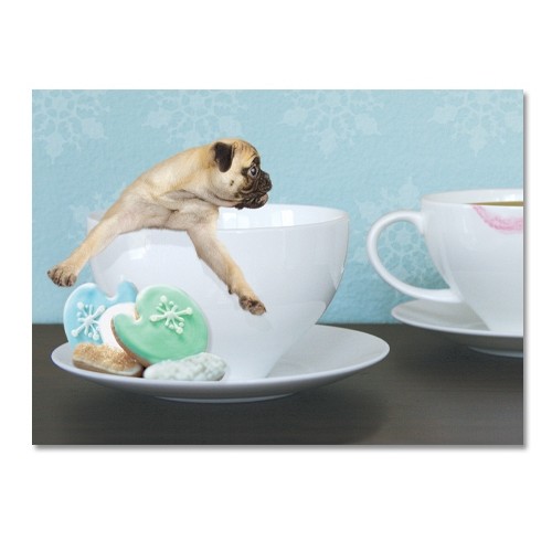 Dog Christmas Cards