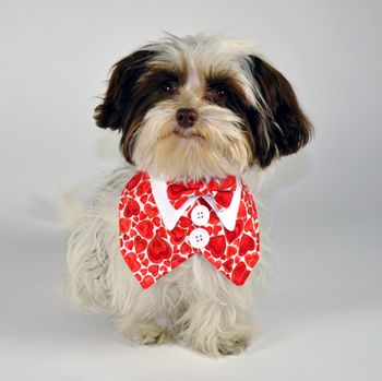 Love Dog Vest with Bowtie