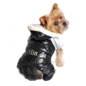 Black Dog Snow Suit