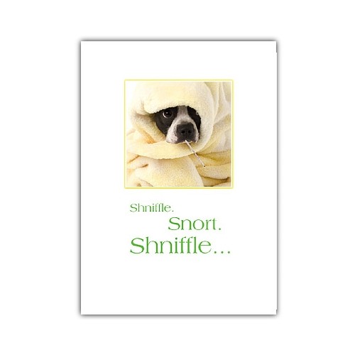 Get Well Dog Card