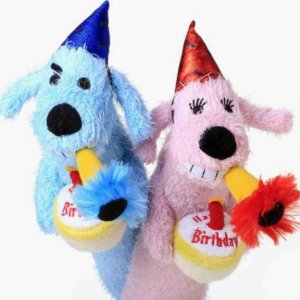 Birthday Party Loofah