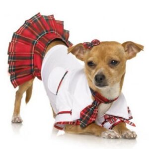 Preppy School Puppy Halloween Costume