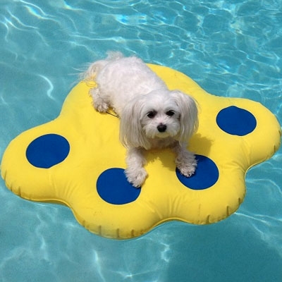Pool Inflatable Rafts
