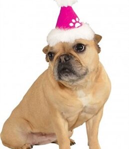 Pink Santa Dog Hat