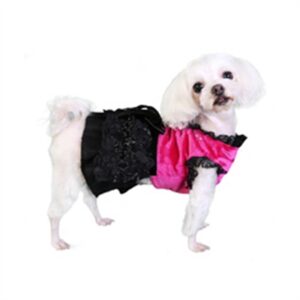 Paris Party Dog Dress