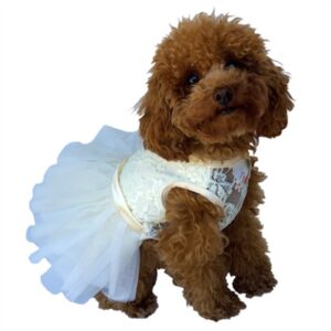 Fufu Tutu Dog Dress Ivory