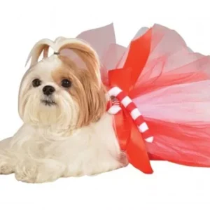 Christmas and Hanukkah