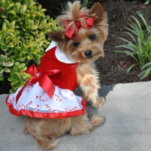 Christmas Candy Cane Holiday Dog Dress and Leash