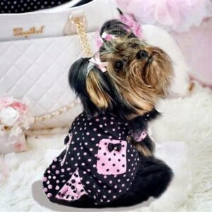 City Girl Dress Dog Costume