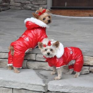 Red Dog Snow Suit