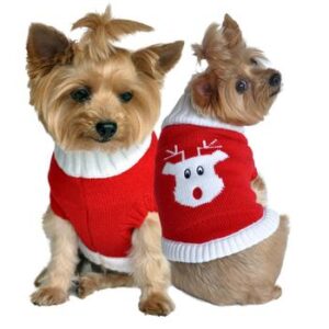 Red Rudolph Dog Sweater