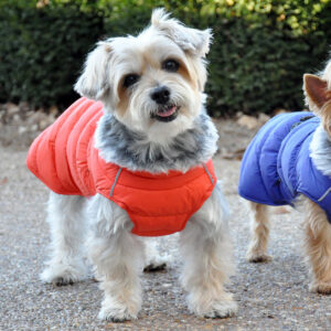 Alpine Extreme Weather Orange Puffer Coat