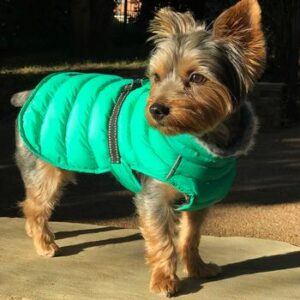 Alpine Extreme Weather Arcadia Puffer Coat