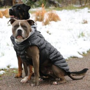 Alpine Extreme Weather Black Puffer Coat