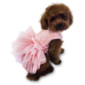 Fufu Tutu Rose Gold Iridescent Lace
