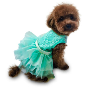 Fufu Tutu Seafoam Iridescent Lace