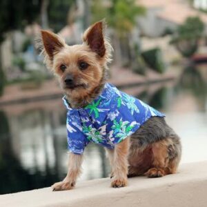 Hawaiian Camp Shirt Ocean Blue and Palms