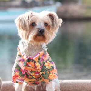 Hawaiian Camp Shirt Sunset Hibiscus