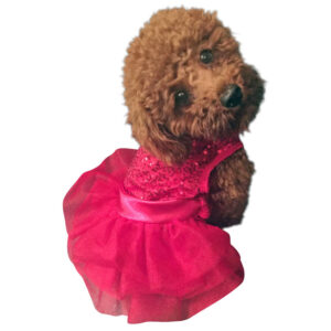Fufu Tutu Picture Perfect Red Sequin Dress