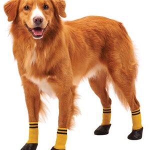 Rainy Day Socks