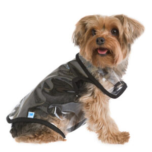 Transparent Dog Raincoat