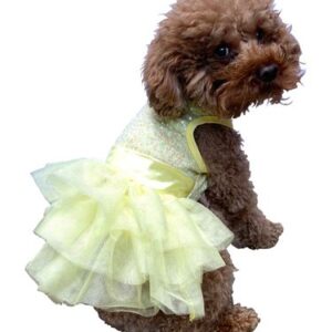 Zsa Zsa Dog Tutu Dress in Lemon