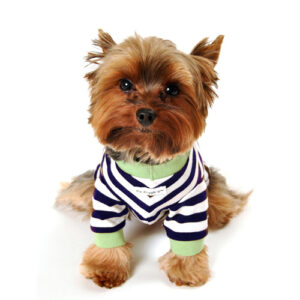 Crown Stripe T-Shirt