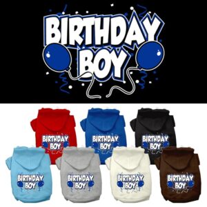 Birthday Boy Dog Hoodies