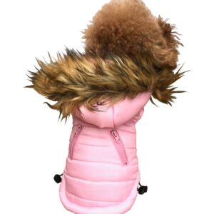Ski Bunny Puffer with detachable hood