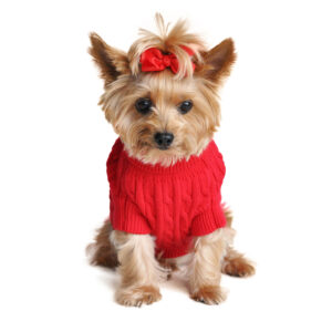 Cable Knit Dog Sweaters