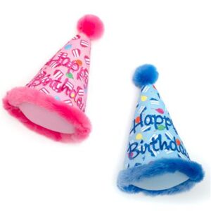 Happy Birthday Dog Hats