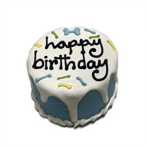 Blue Mini Birthday Cake