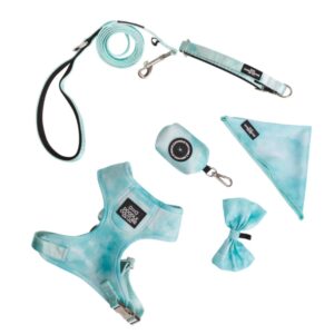 Aqua Luxury Dog Harness and Leash Gift Set