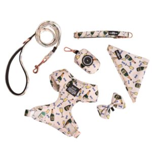 Champs and Treat Luxury Dog Harness and Leash Gift Set