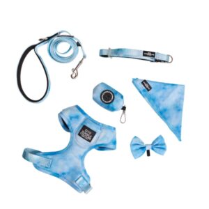 Montauk Dog Harness and Leash Set