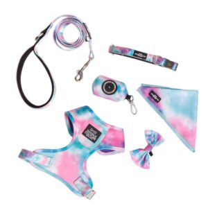 Woofstock Luxury Dog Harness and Leash Gift Set