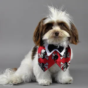 Red Skull and Bones Dog Vest with Black Bow Tie