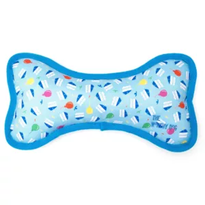 Birthday Boy Bone Dog Toy