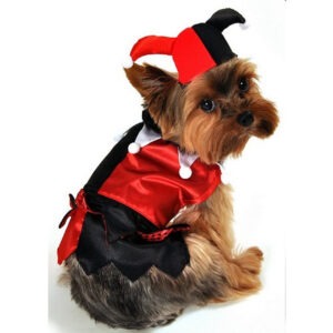 Jester Dog Costume