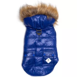 Royal Blue Park City Dog Jacket