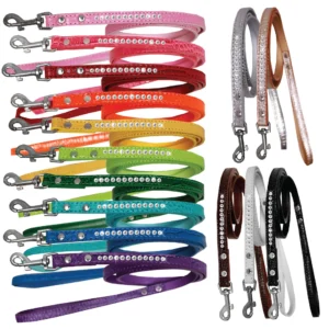 Designer Croc Leash