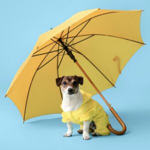 Dog Raincoats