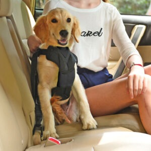 Pet Car Harness with Detachable Swivel Hook