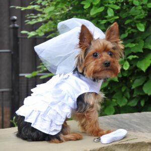 Dog Wedding Dresses and Veils