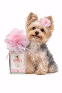 Cake Perfume